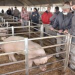 WhatsApp Image 2022-06-05 at 2.16.35 PM (2)