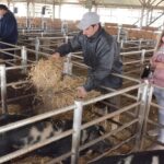 WhatsApp Image 2022-06-05 at 2.16.37 PM (1)