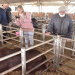 WhatsApp Image 2022-06-05 at 2.16.37 PM (2)