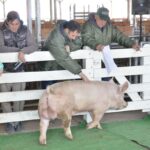 WhatsApp Image 2022-06-05 at 2.17.33 PM (1)