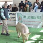 WhatsApp Image 2022-06-05 at 2.17.33 PM