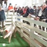 WhatsApp Image 2022-06-05 at 2.17.34 PM (1)