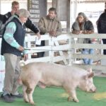 WhatsApp Image 2022-06-05 at 2.17.35 PM