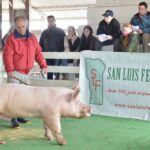 WhatsApp Image 2022-06-05 at 2.17.37 PM (1)