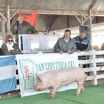 WhatsApp Image 2022-06-05 at 2.17.37 PM