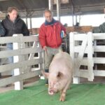 WhatsApp Image 2022-06-05 at 2.17.38 PM (1)