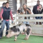 WhatsApp Image 2022-06-05 at 2.17.41 PM