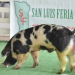 WhatsApp Image 2022-06-05 at 2.17.46 PM (1)