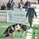 WhatsApp Image 2022-06-05 at 2.17.47 PM