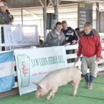 WhatsApp Image 2022-06-05 at 2.17.47 PM (3)