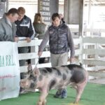 WhatsApp Image 2022-06-05 at 2.17.48 PM (1)