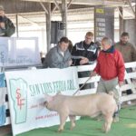 WhatsApp Image 2022-06-05 at 2.17.48 PM