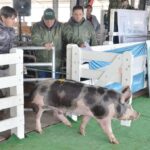 WhatsApp Image 2022-06-05 at 2.17.48 PM (2)