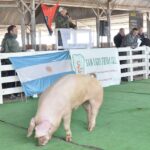 WhatsApp Image 2022-06-05 at 2.17.50 PM (1)