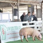 WhatsApp Image 2022-06-05 at 2.17.50 PM