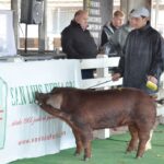 WhatsApp Image 2022-06-05 at 2.17.51 PM