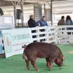 WhatsApp Image 2022-06-05 at 2.17.54 PM (2)