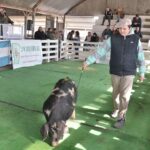 WhatsApp Image 2022-06-05 at 2.17.54 PM (3)