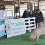 WhatsApp Image 2022-06-05 at 2.17.56 PM (1)