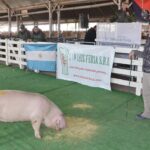 WhatsApp Image 2022-06-05 at 2.17.56 PM (2)