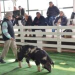 WhatsApp Image 2022-06-05 at 2.17.57 PM