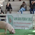 WhatsApp Image 2022-06-05 at 2.17.59 PM (1)