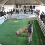 WhatsApp Image 2022-06-05 at 2.18.03 PM (2)