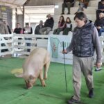 WhatsApp Image 2022-06-05 at 2.18.03 PM (3)