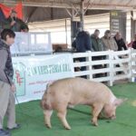 WhatsApp Image 2022-06-05 at 2.18.04 PM (1)