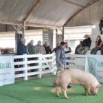 WhatsApp Image 2022-06-05 at 2.18.04 PM (2)