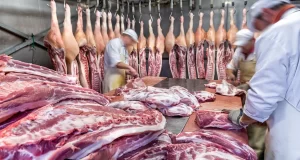 ¿Cuánto participa el productor de la suba en el precio de la carne?