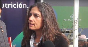Por falta de manejo y fertilización, las pasturas están produciendo al 50%