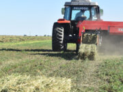 Evaluación económica de la campaña de henificación de alfalfa 2022