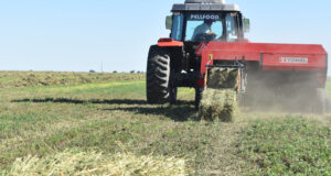 Evaluación económica de la campaña de henificación de alfalfa 2022