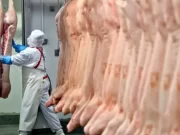 La producción y consumo de carne se recuperaron en mayo