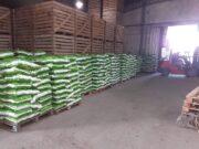 San Luis: Certificación sanitaria para la exportación a Chile de 12.500 kilos de papa