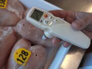 Enriquecen la carne aviar con aceite Omega-3 de algas marinas