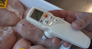 Enriquecen la carne aviar con aceite Omega-3 de algas marinas