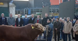 Faros largos para iluminar los desafíos que enfrenta el negocio de las carnes
