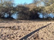 San Luis Agua interrumpió dos conexiones clandestinas de gran caudal de agua cruda