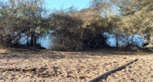 San Luis Agua interrumpió dos conexiones clandestinas de gran caudal de agua cruda