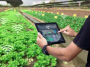 Mendoza será sede por primera vez de una cumbre de tecnología agropecuaria