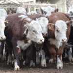 WhatsApp Image 2022-06-30 at 3.54.18 PM (1)