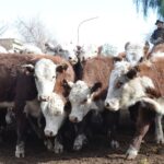 WhatsApp Image 2022-06-30 at 3.54.19 PM (1)