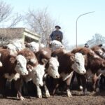 WhatsApp Image 2022-06-30 at 3.54.19 PM (2)