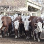 WhatsApp Image 2022-06-30 at 3.54.20 PM