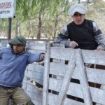 WhatsApp Image 2022-06-30 at 3.54.21 PM