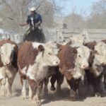 WhatsApp Image 2022-06-30 at 3.54.21 PM (2)