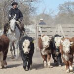 WhatsApp Image 2022-06-30 at 3.54.22 PM (1)