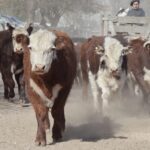 WhatsApp Image 2022-06-30 at 3.54.23 PM (1)